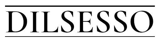 dilsesso_logo-removebg-preview